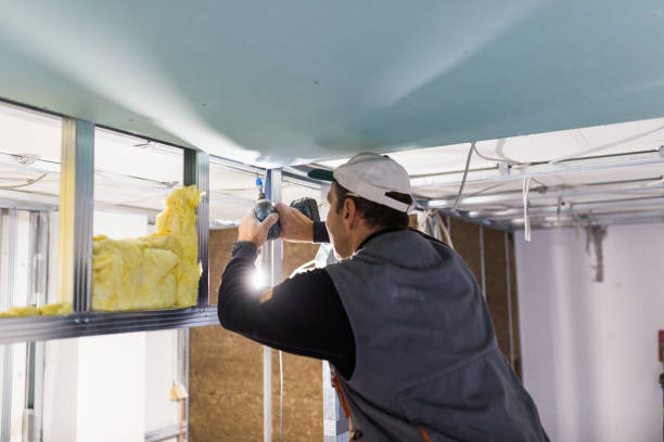 Best Cellulose Insulation  in Raymondville, TX