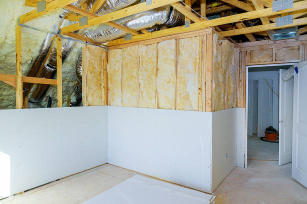 Insulation Repair Services in Raymondville, TX