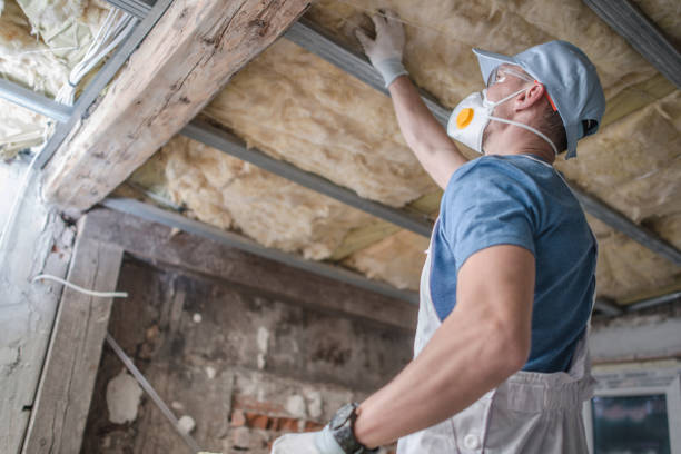 Best Soundproof Insulation Installation  in Raymondville, TX