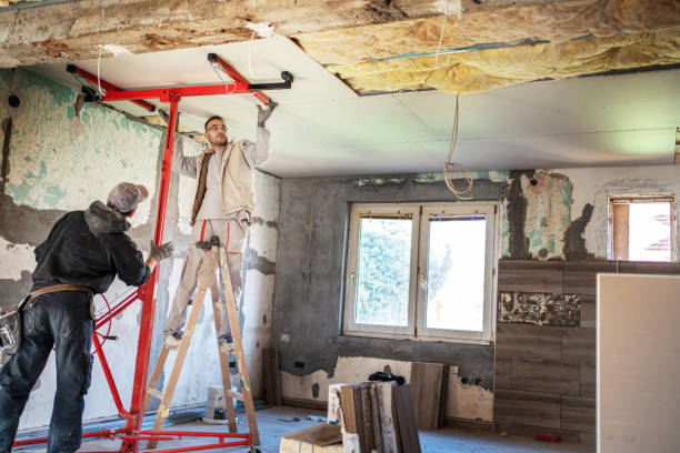 Best Cellulose Insulation  in Raymondville, TX