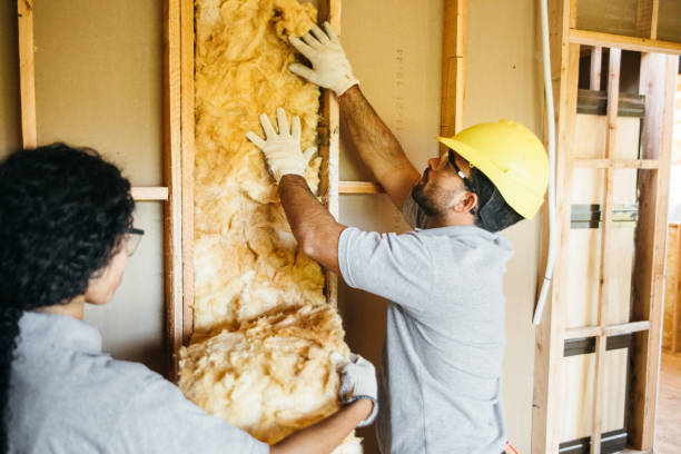Best Insulation Contractors for Homes  in Raymondville, TX