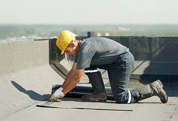 Best Insulation Removal Services  in Raymondville, TX