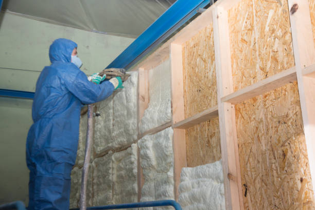 Best Commercial Insulation Contractor  in Raymondville, TX